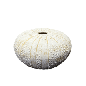Urchin Medium – 18Ø x 12H cm (Ceramic)