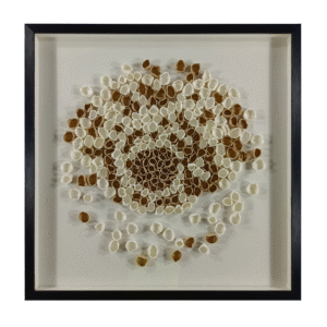 Bloom Wall Art – Wood Frame, With Glass – 80W x 4.6D x 80H CM Bloom Wall Art – Wood Frame, With Glass quantity  Bloom Wall Art   An intricate floral-inspired composition crafted from layered paper, presented in a sleek black frame with protective glass. The Bloom Wall Art adds delicate texture and refined artistry to contemporary interiors.