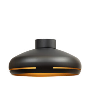 Mauro 1 Light Black Ceiling Light
